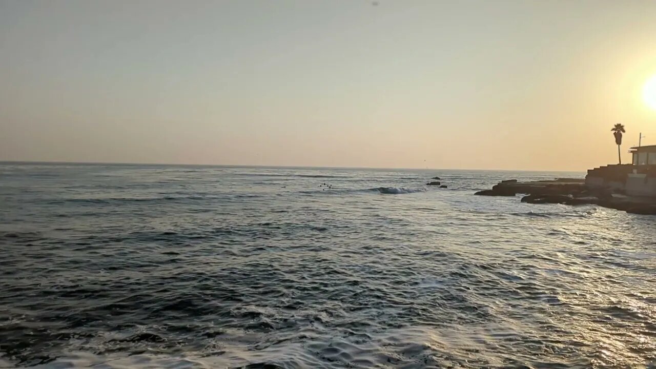 Little Waves at Pleasure Point