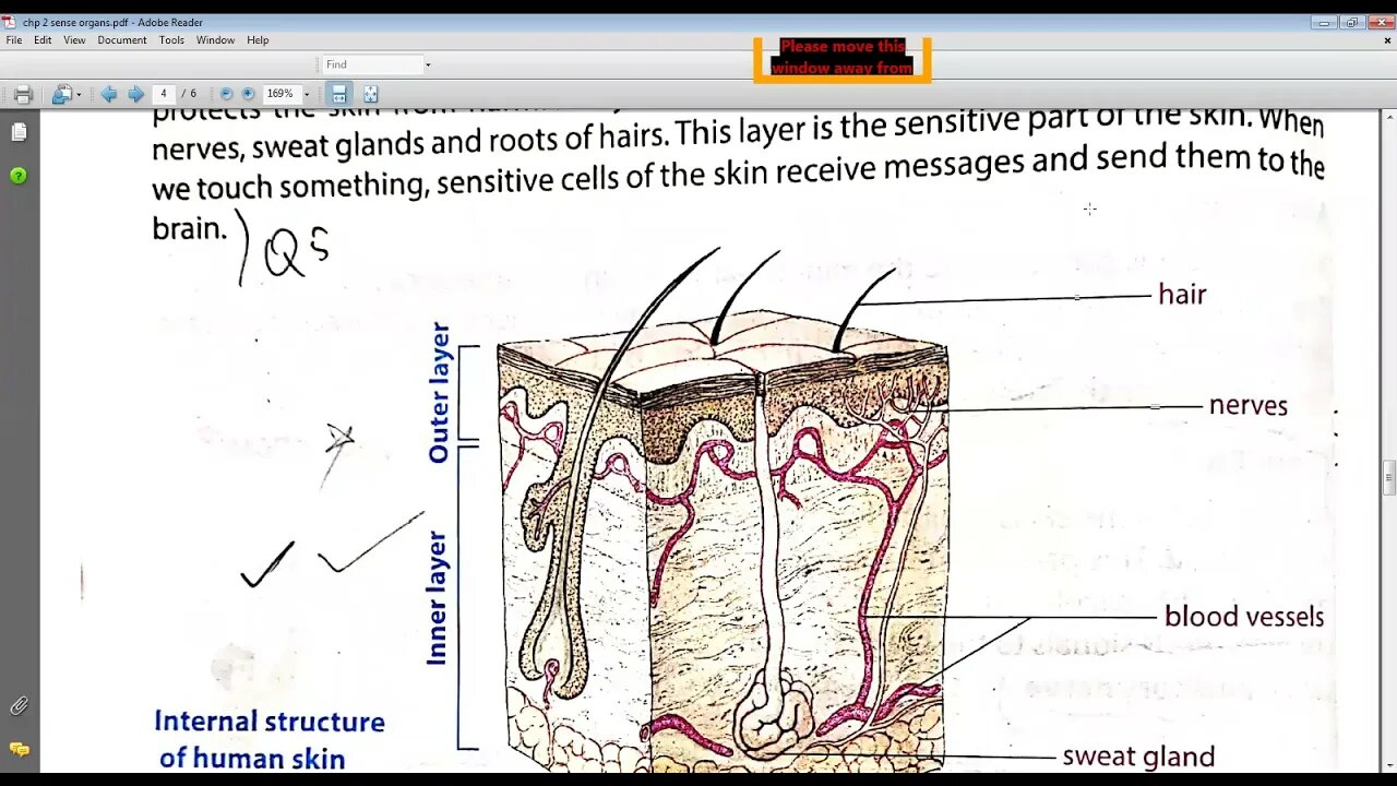 Science class 6 20 04 2021