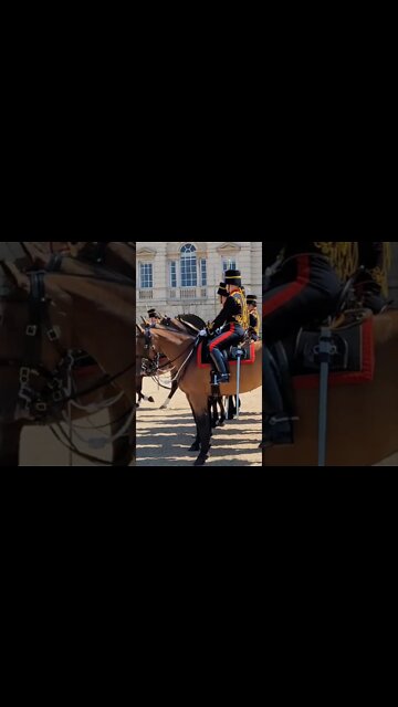 Kings troop dismount #horseguardsparade