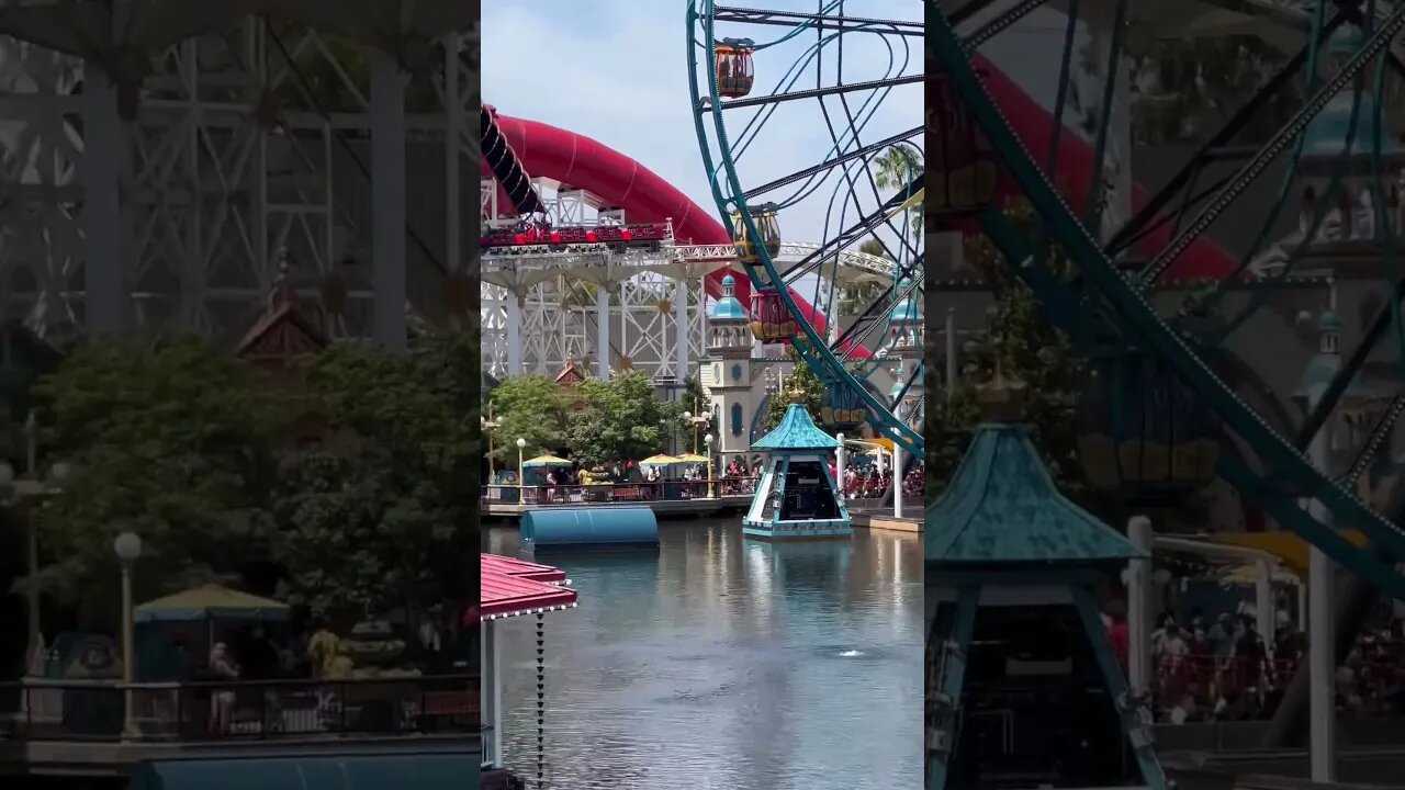 Guests STUCK On Incredicoaster At Disneyland! #shorts