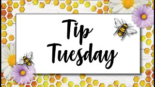 Tip Tuesday - Using Watercolor Pencils and Team Swap Cards with Cards by Christine