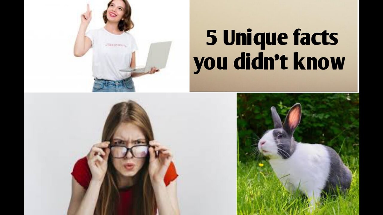 5 unique facts you didn't know