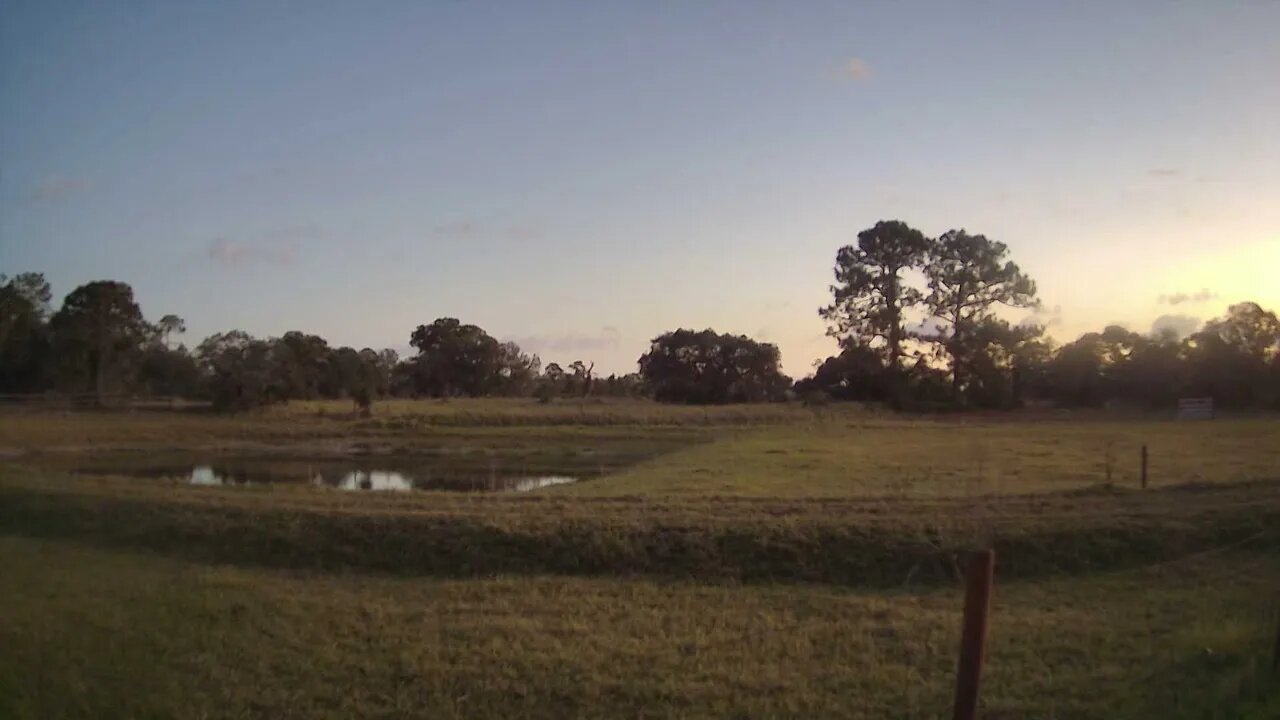 Good Morning From Venus Ranch 5/9/22.