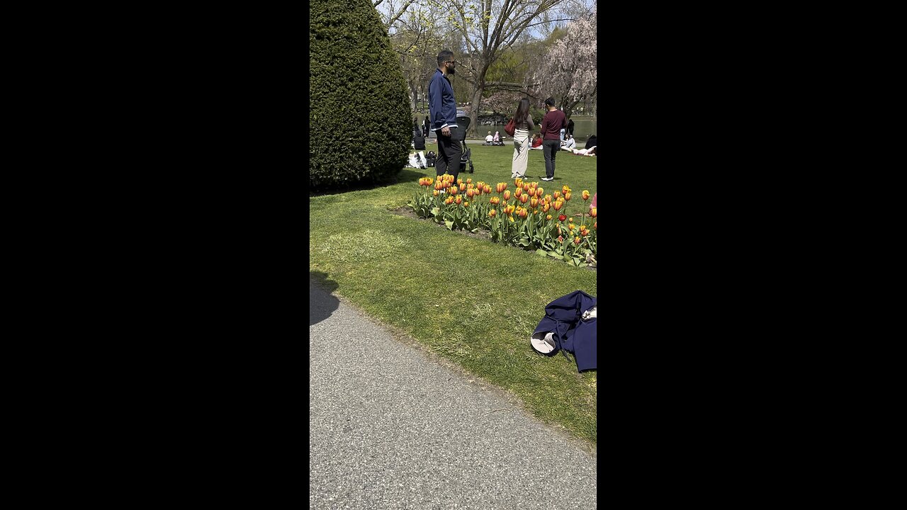 💐💥Boston Public Garden