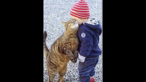 Funny animals 2023 - Funniest Cats and Dogs Video ? 13212 #shorts