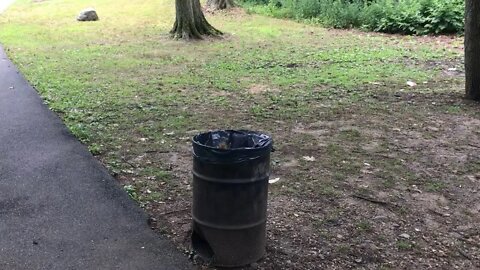 Squirrel in a trash can