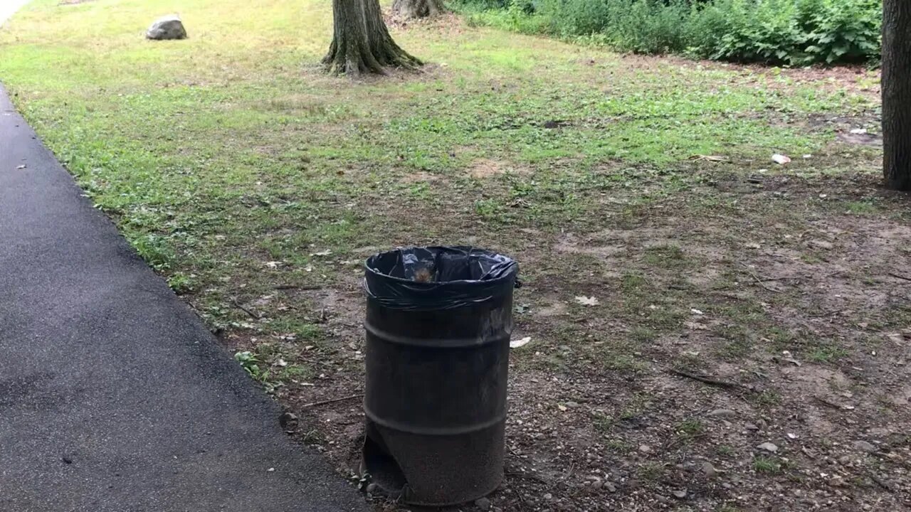 Squirrel in a trash can