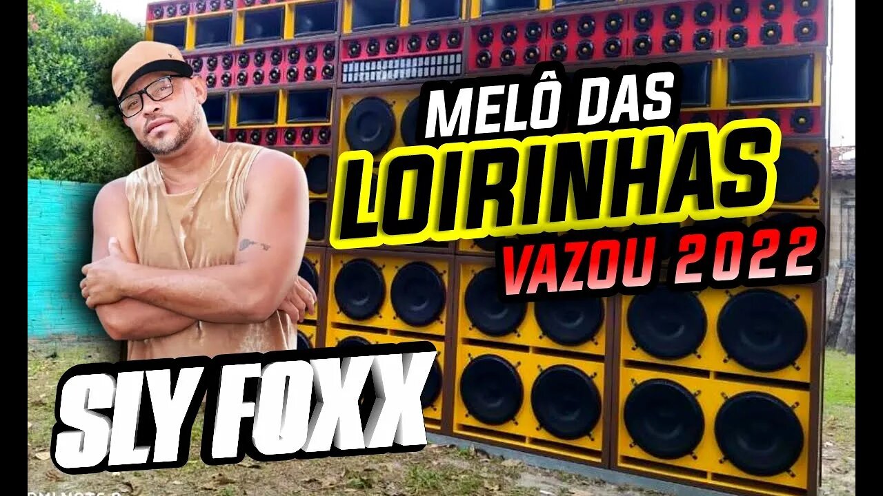 VAZOUUUU MELÔ DAS LOIRINHAS SLY FOXX 2O22