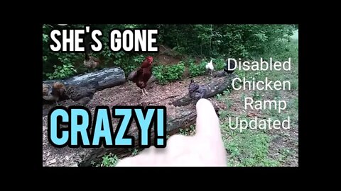 She's Gone Crazy! | Disabled Chick Ramp Updated - Ann's Tiny Life and Homestead