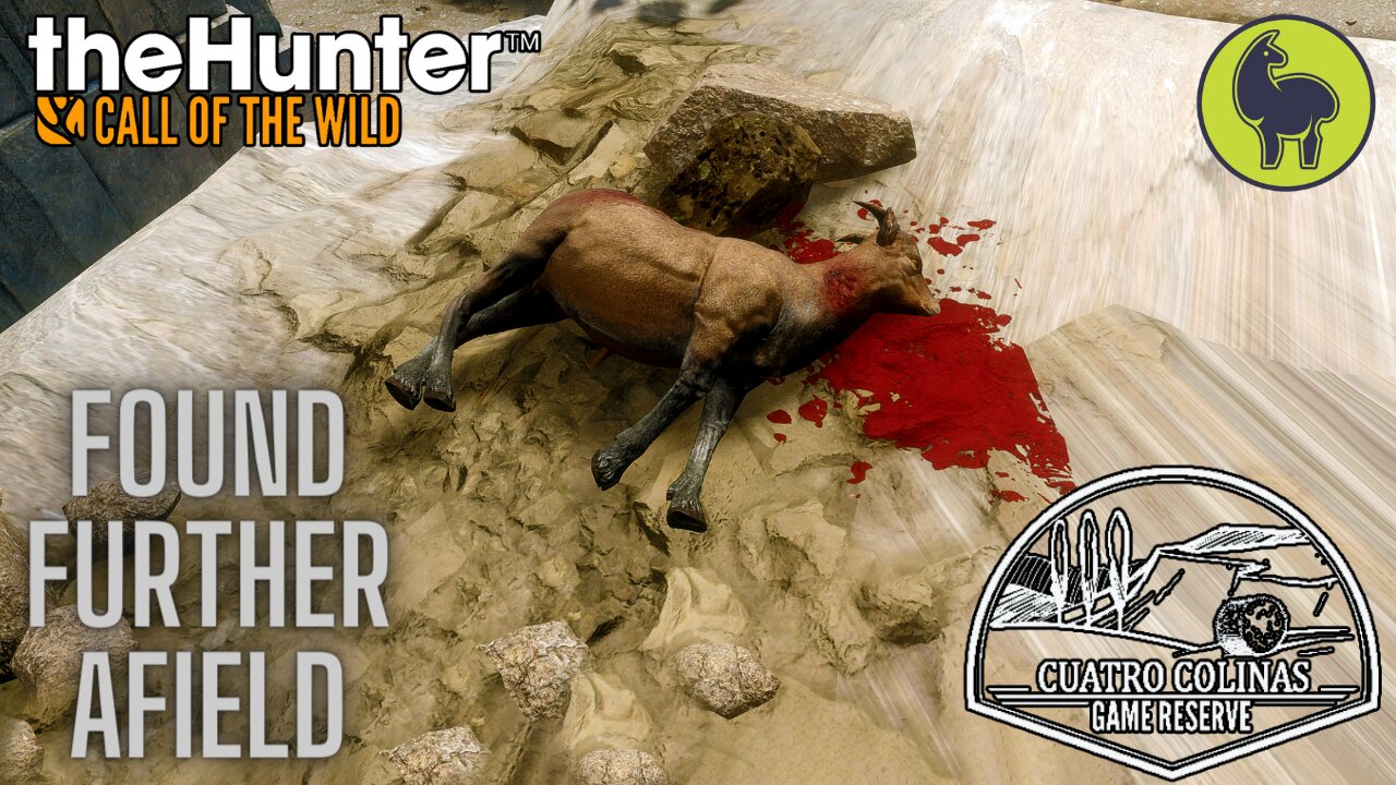 Found Further Afield, Cuatro Colinas | theHunter: Call of the Wild (PS5 4K)