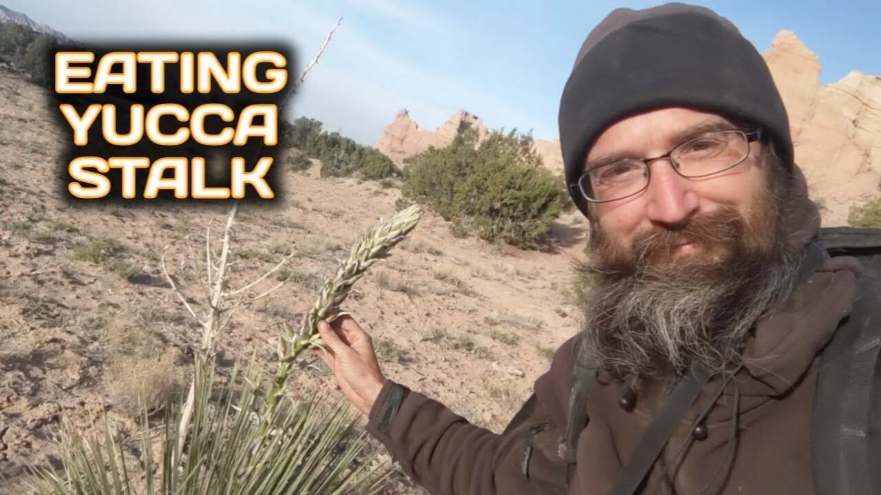 Eating Yucca Stalk