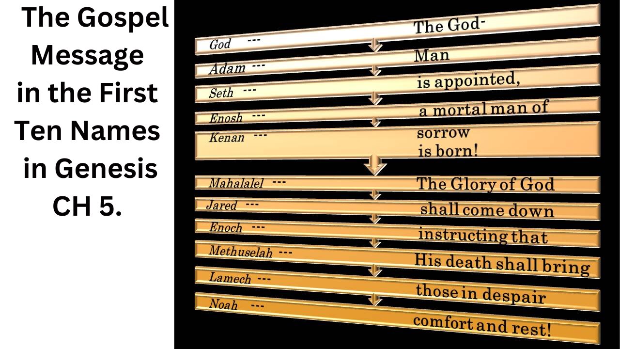 Genealogy From Adam to Noah. The Gospel Message.