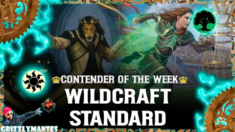 👑👑COTW👑👑🟢⚪WILDCRAFT⚪🟢|| Streets of New Capenna || [MTG Arena] Bo1 Green White Aggro Standard Deck