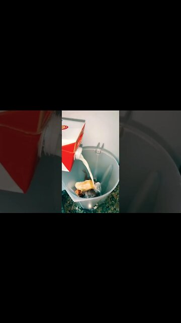 MILKSHAKE DE CHOCOLATE PERFEITO 🤎 | Receitas #Shorts