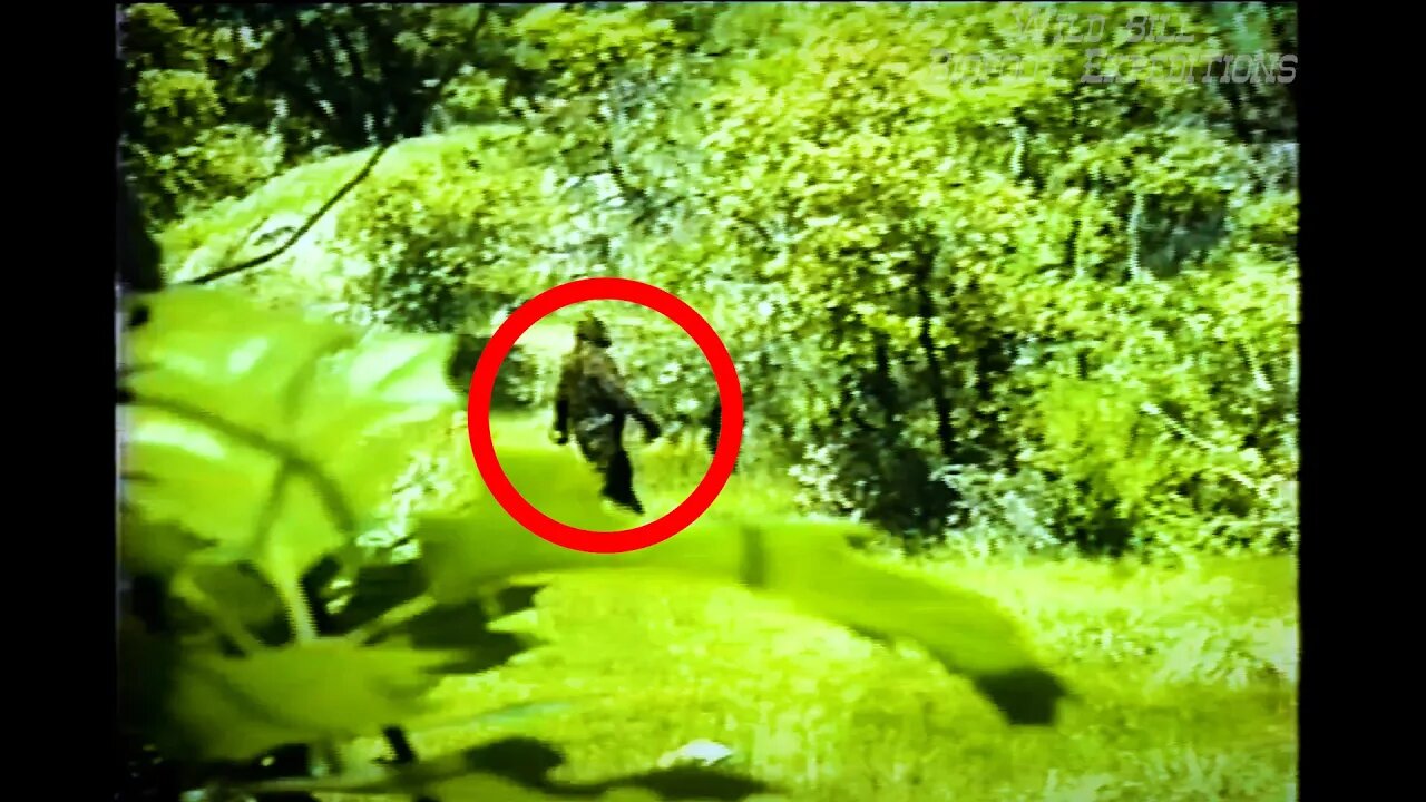 BIGFOOT Sighting in California (Full Raw Footage) #bigfoot #california