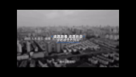 谁愿为自己发声（来自sillylego）