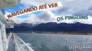 Ushuaia | Navegação pelo Canal Beagle Para Ver Pinguins | Subida até o Glaciar Martial