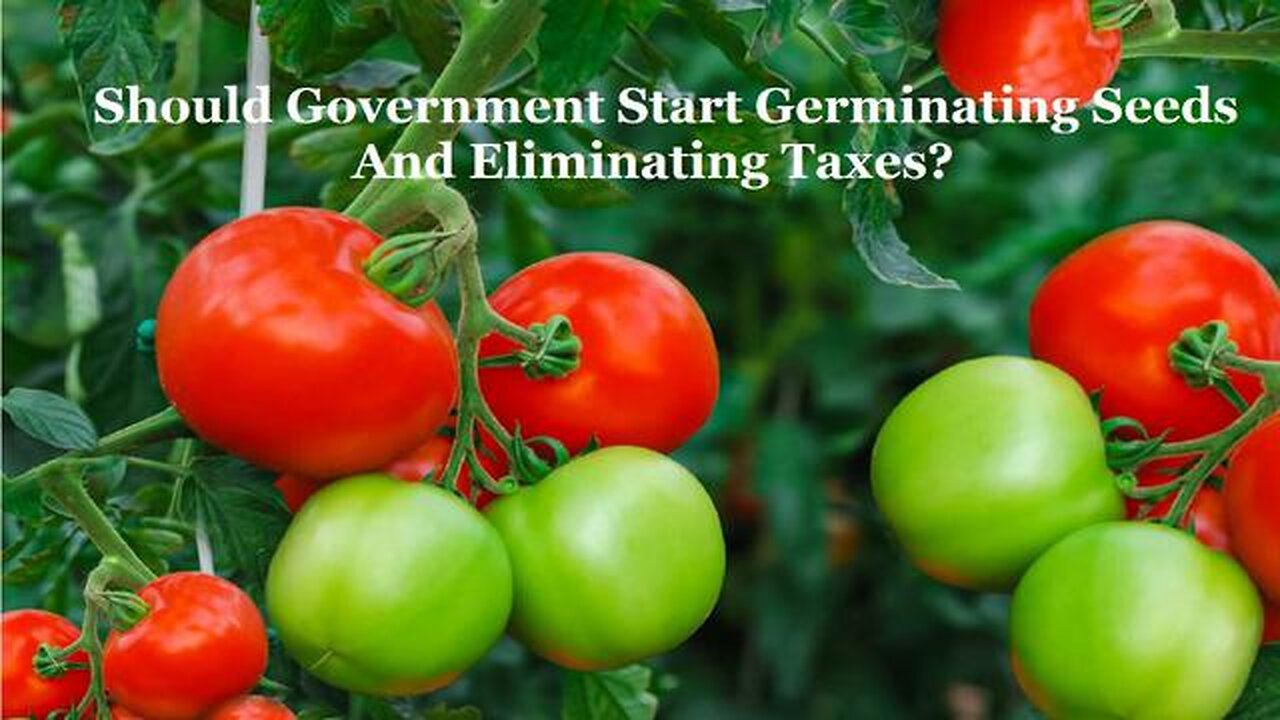 SHOULD GOVERNMENT START GERMINATING SEEDS AND ELIMINATING TAXES?