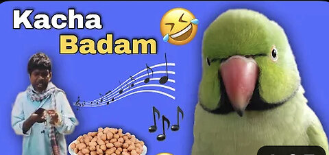 Badam badam …kacha badam