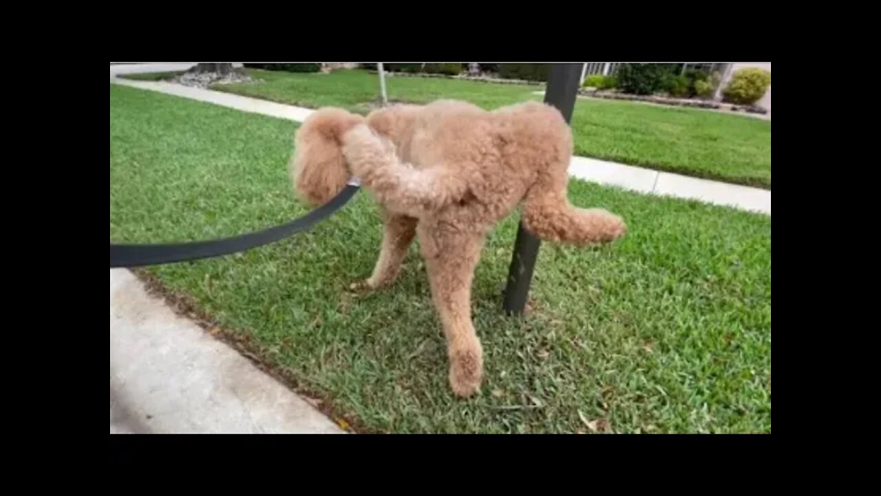 Yardism Live 9-17-21