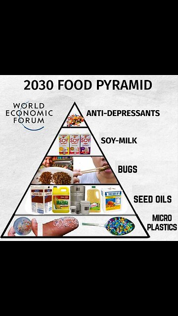 Smart city governance initiatives (WEF)