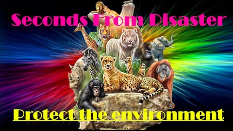 Seconds From Disaster 💥 Protect the environment 🌹