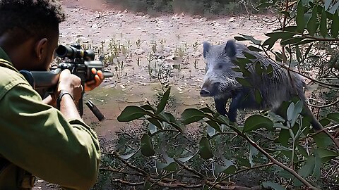 WHEN HUNTERS HUNT BOARS