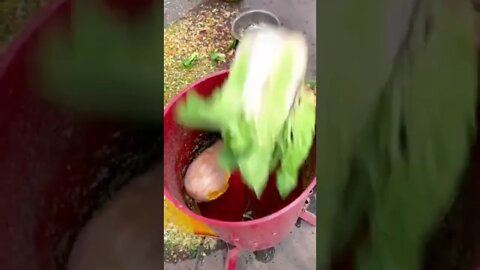 amazing technology #shorts #trending #viral