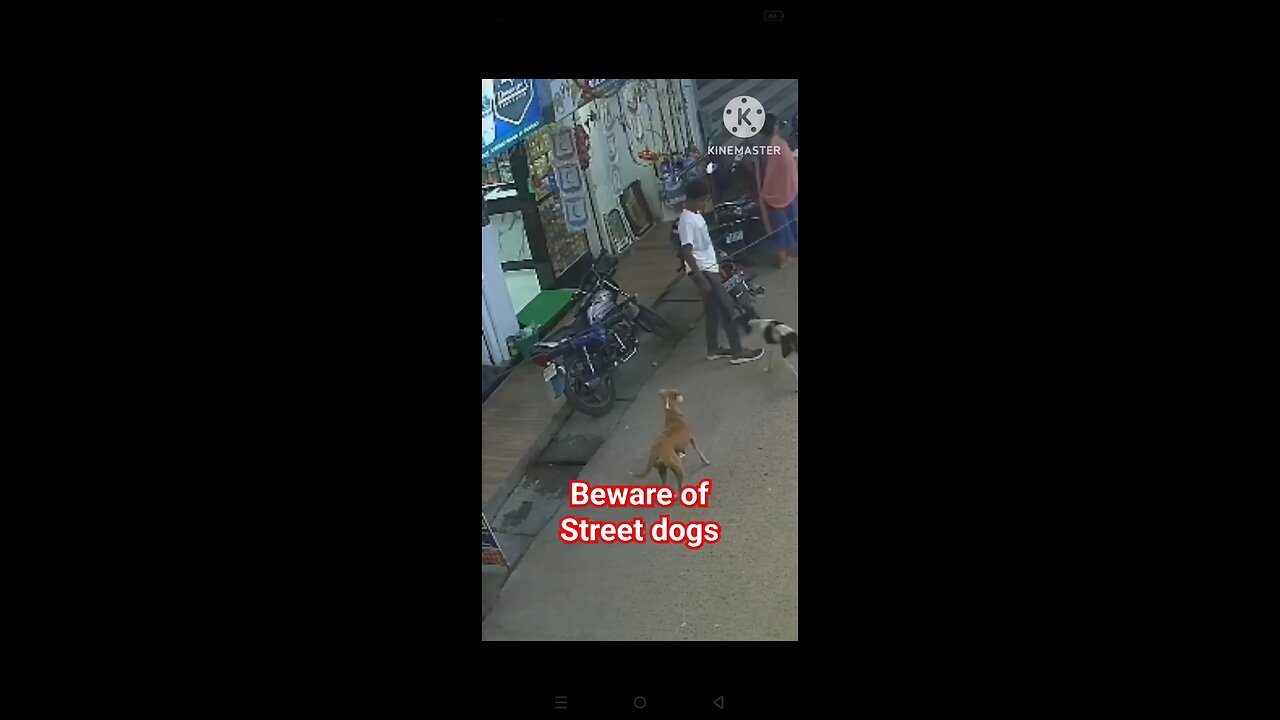 BEWARE OF STREET DOGS _streetdogs _dangerzone _unexpectedmoments