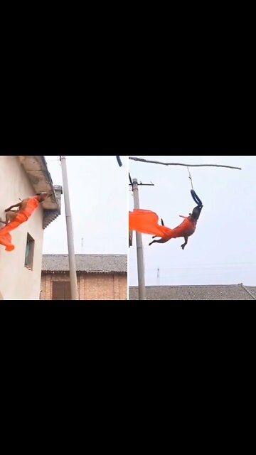 German Shepherd jumped 21 feet just like spider man