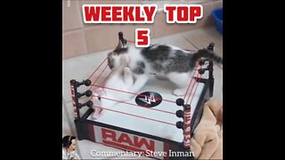 Weekly Top 5