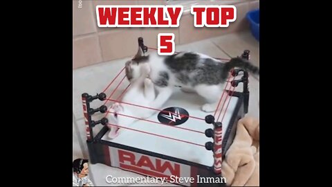Weekly Top 5