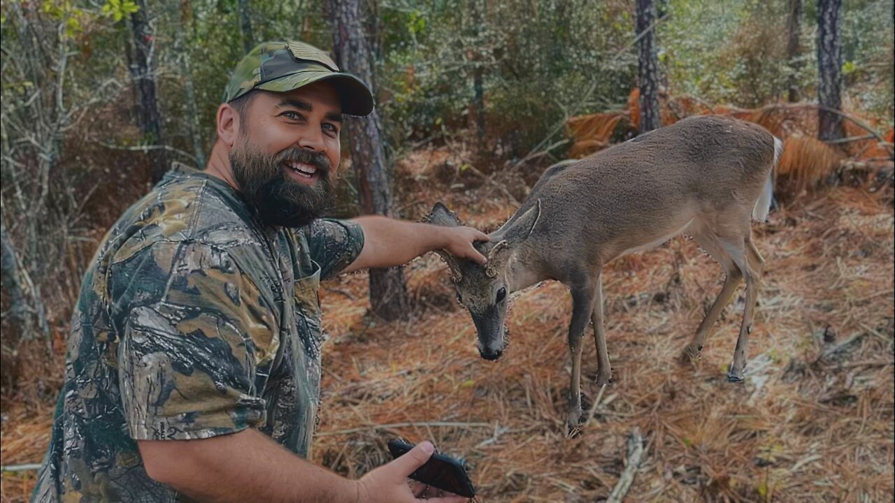 Bible Verses about Deer or Harts