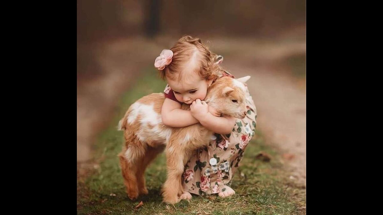 WITHOUT OUR 4 LEG FRIENDS OUR WORLD WOULD BE NOTHING
