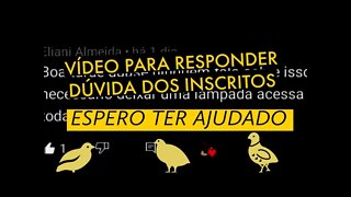 DEVO DEIXAR A LUZ ACESA PARA CODORNAS ADULTAS / VIVER DE CODORNA