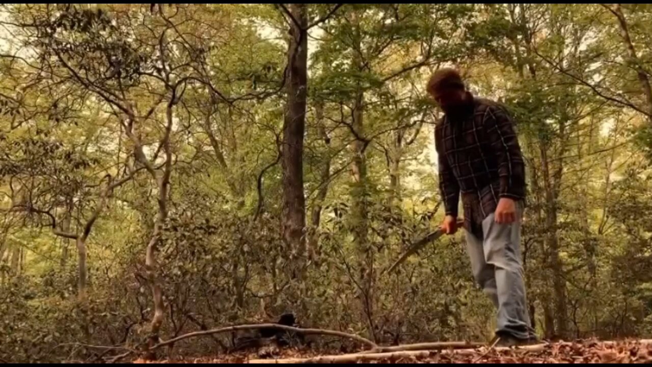 Building a Leaf Litter Shelter