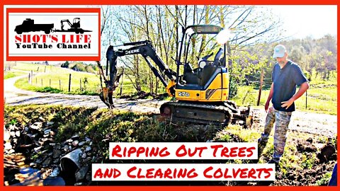 Ripping out trees and digging a creek! | Shots Life