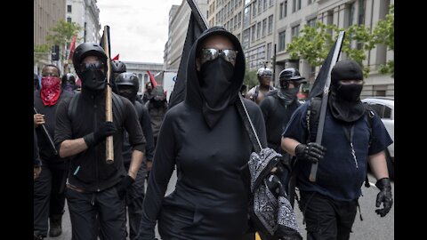 Antifa. The Hollow Revolutionaries