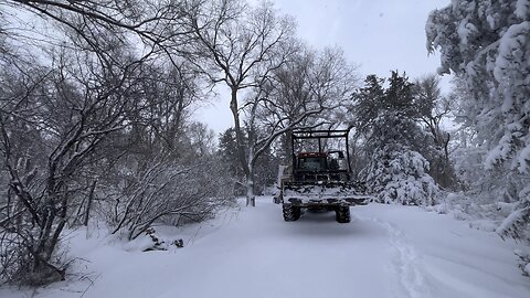 Headed to the cows.