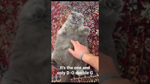 It's the one and only D-O double G #shorts