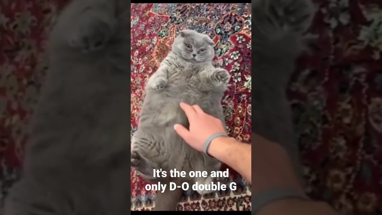 It's the one and only D-O double G #shorts