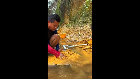 Gold Collecting