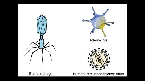 바이러스를 실험실에서 만들수 있을까, 신인철, 종간 점프로 새로운 바이러스가 생긴다, 박테리아, 코 비 드, 사스, 메르스, 코로나19의 차이점, 프리온, 간염바이러스, 독감