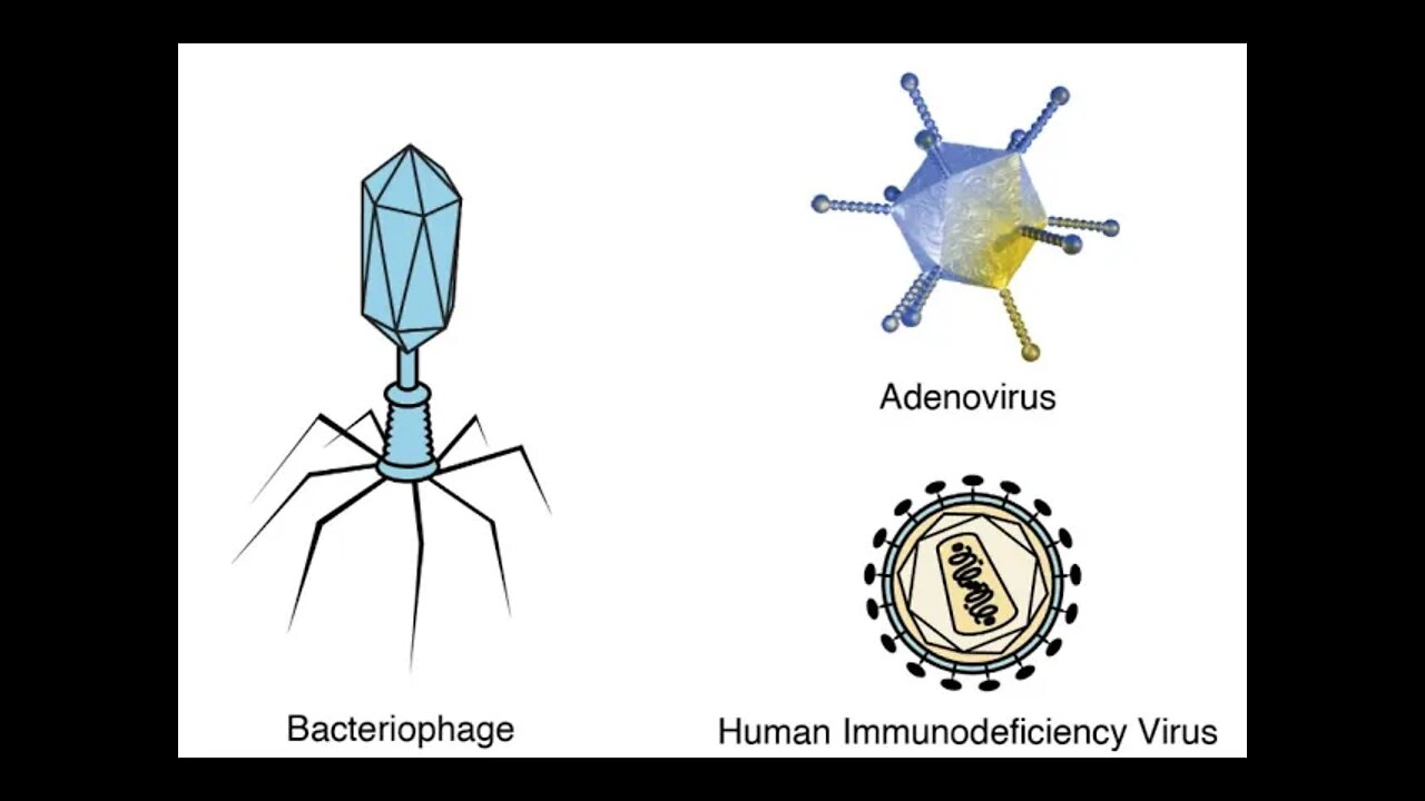 바이러스를 실험실에서 만들수 있을까, 신인철, 종간 점프로 새로운 바이러스가 생긴다, 박테리아, 코 비 드, 사스, 메르스, 코로나19의 차이점, 프리온, 간염바이러스, 독감