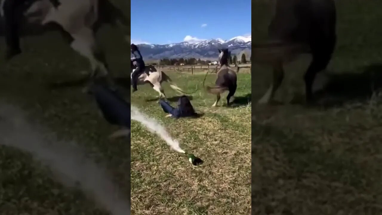 Popping bottles while sitting on a horse😂#shorts #crazyvideo #horsebackriding #ouch #popping