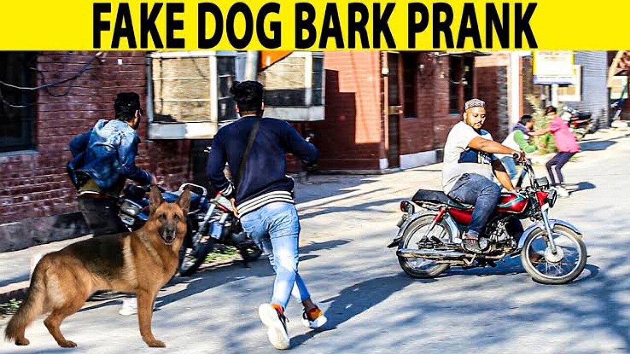 Real Dog Bark Prank || Real Dog Prank Comedy