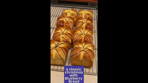 Delicious Blueberry filled Bread