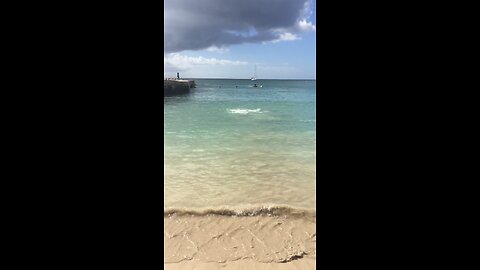 THEY THOUGHT IT WAS A SHARK