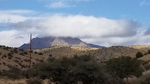 New Mexico Mule Deer 2024