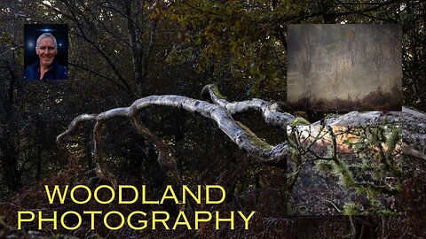 woodland and landscape photography in the forest of dean .with autumn colours shining through